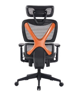 גב עם מסגרת X כתומה